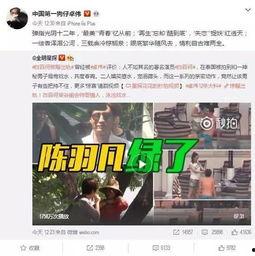 商丘出轨爆料视频最新,真相与争议交织